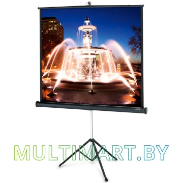 Проекционный экран Classic Solution Libra 160x160
